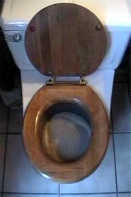 Cat Litter Inside Steel Bowl Inside Toilet